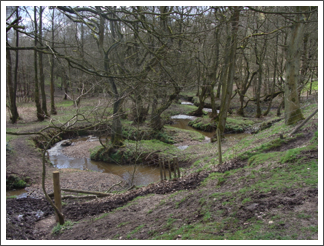 Downs Banks