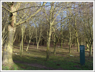 Skirting Ralston Forestry Centre