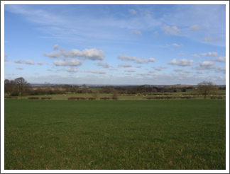 Burton from Cauldwell Road