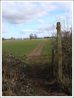 Looking straight back towards Longlands
