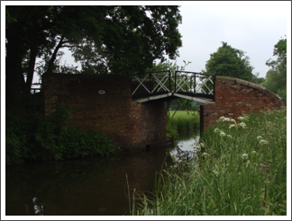 Bridge of the day