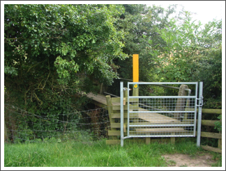 A new gate to the bridge