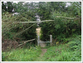 Bridge of the day