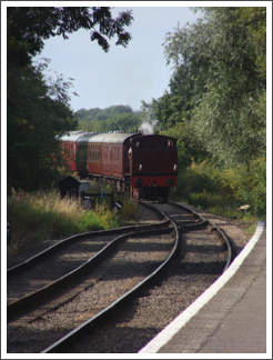 Arriving Shenton