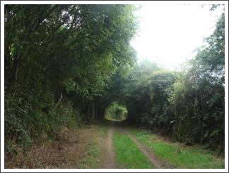Green Lane