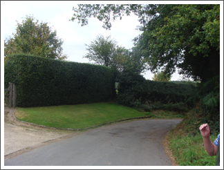 Through the neat hedge