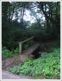 Bridge of the day