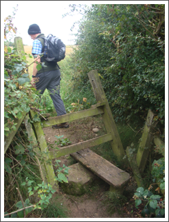 Broken stile SK 088 104.