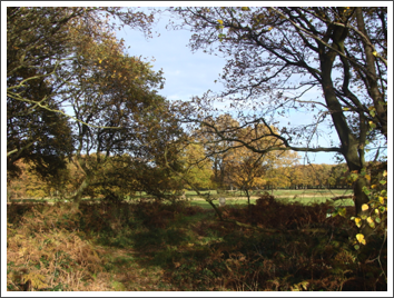 Soon to be a railway cutting