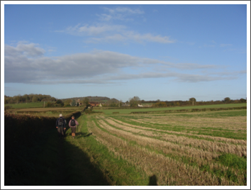 Bradley Farm