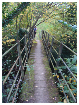 On another walk this could be it