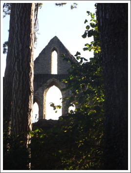 Wenlock Priory, Much Wenlock