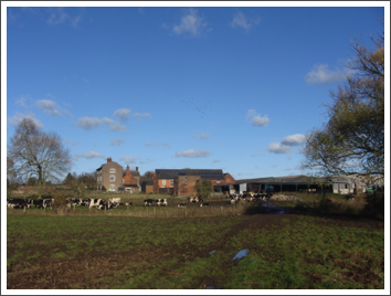 Last visit to Hall farm