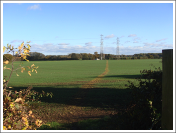 Nicely marked path