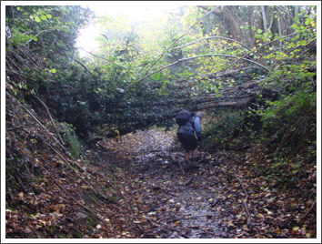 Dark Lane. Getting worse