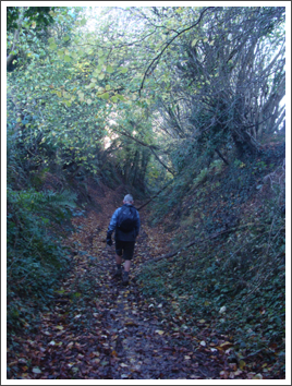 Dark Lane