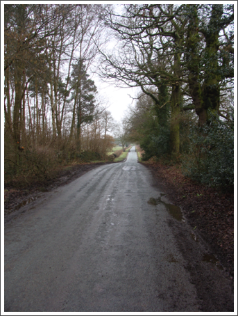 The long undulating road