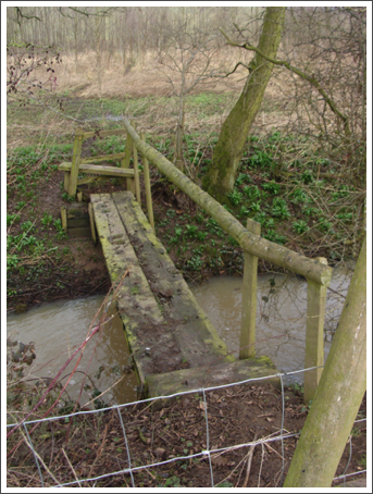 Bridge of the day?