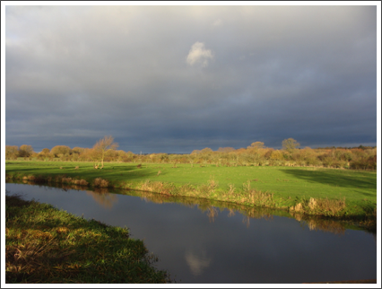 The Trent 