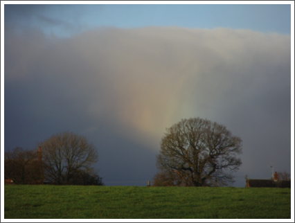 A caught ray of Sun
