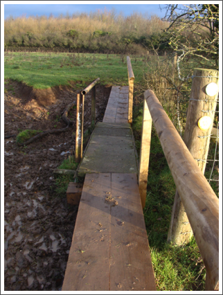 Bridge of the day