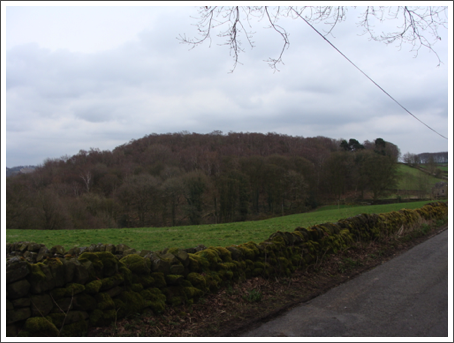 Beggerswell Wood