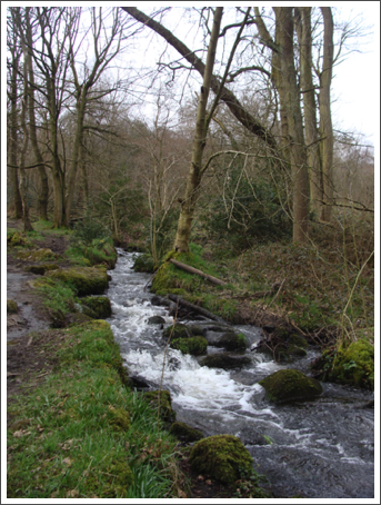 Flowing well