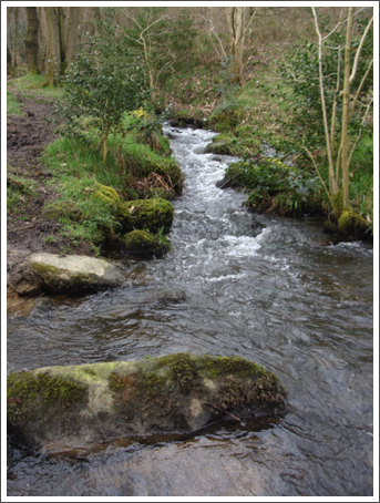 Peatpits Brook