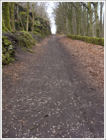 The Sheep Pasture incline