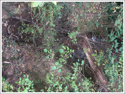 Black Ditches