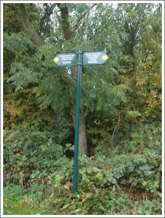 New sign?
