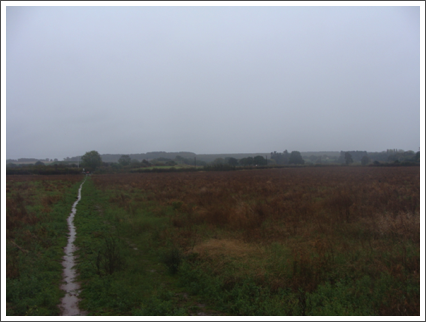 Still barren fields