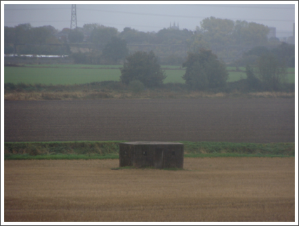 Through Hopwas Hays Wood