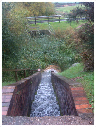 Flooded steps!?