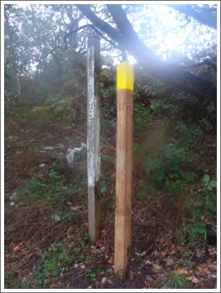 A new yellow post for a footpath