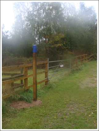 Then blue ones for the bridleway