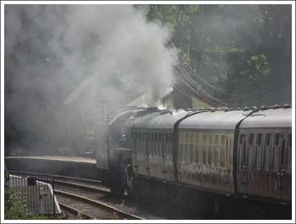 S160 no. 5197