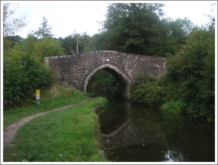 Bridge 53