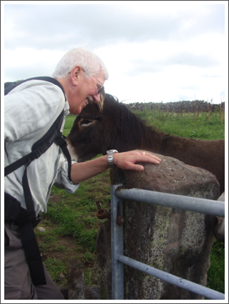 Donkey assist at a style