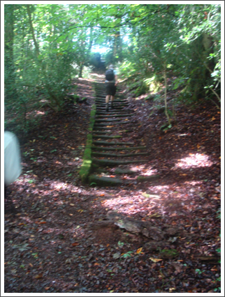 Stairway to Belmont House