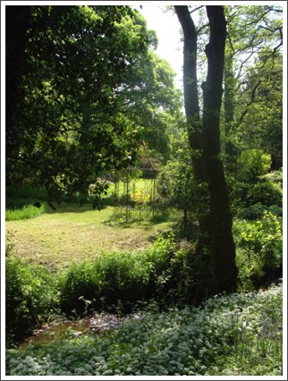 Hole cottage's little glade