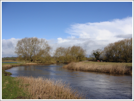 River Trent was up