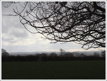Looking back home