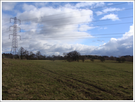 to Swarbourn Meadow