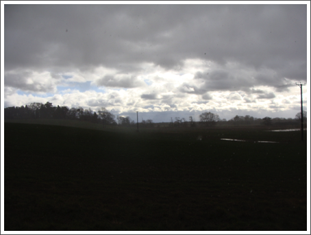 One of the flurries
