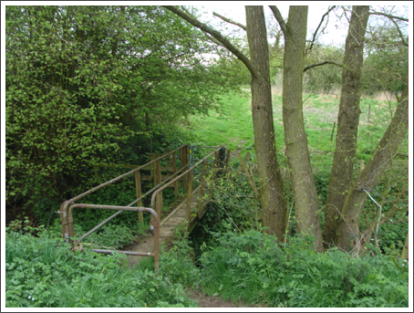 Bridge of the day