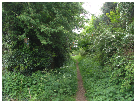 Leaving the road