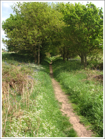 Knox's Grave Lane