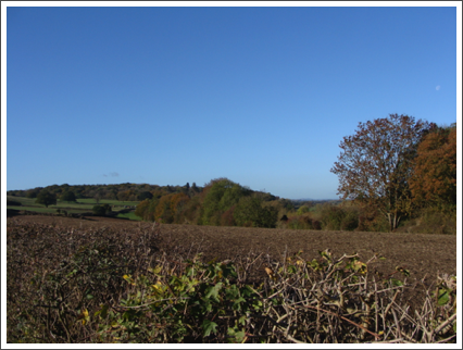 Park Farm