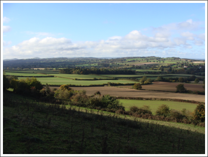 Park Coppice and the West from Wenlock Edge